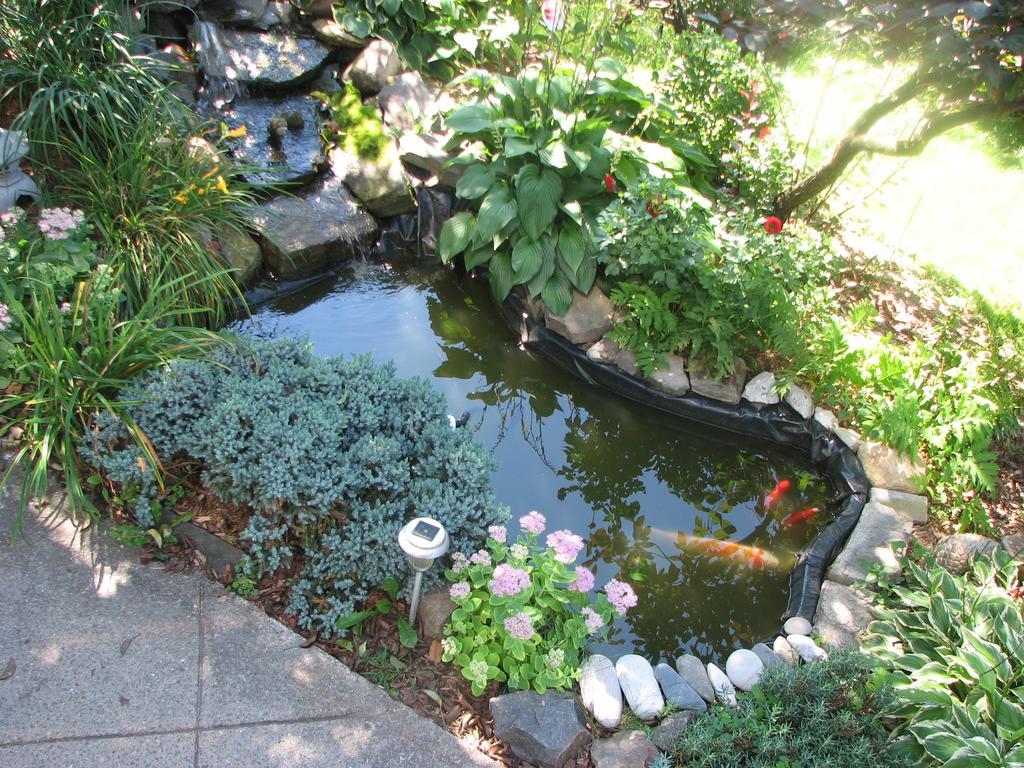 Magnolia B&B Гранби Екстериор снимка