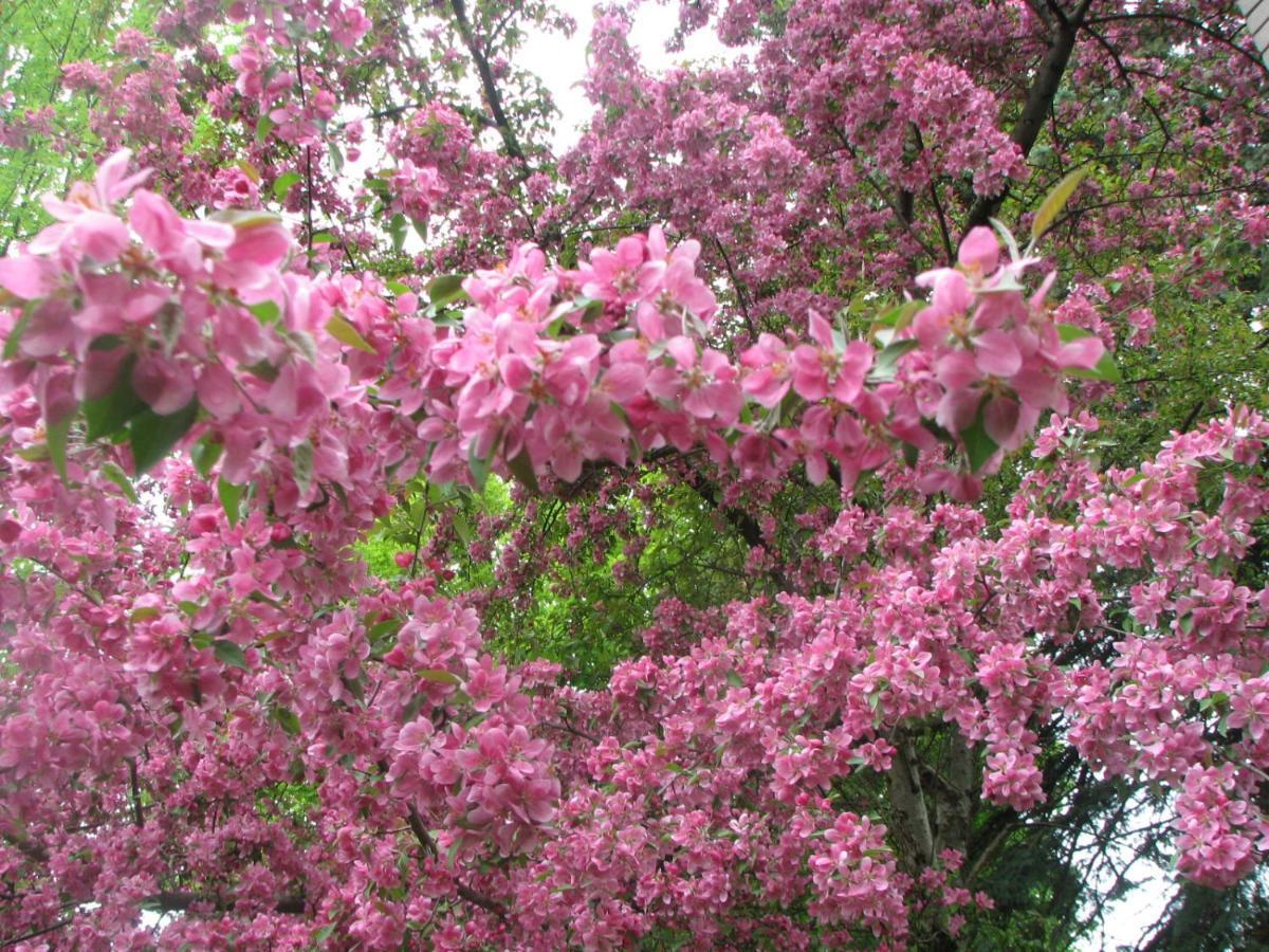 Magnolia B&B Гранби Екстериор снимка